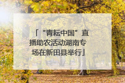 “青耘中国”直播助农活动湖南专场在新田县举行