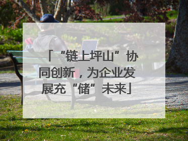 “链上坪山”协同创新，为企业发展充“储”未来