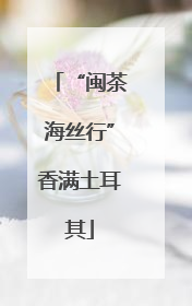 “闽茶海丝行”香满土耳其