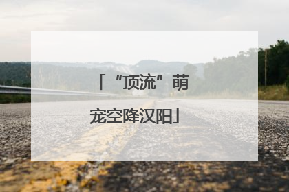 “顶流”萌宠空降汉阳