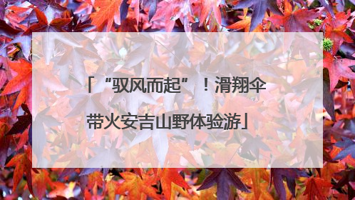 “驭风而起”！滑翔伞带火安吉山野体验游