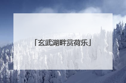 玄武湖畔赏荷乐