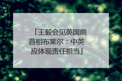 王毅会见英国前首相布莱尔：中英应体现责任担当