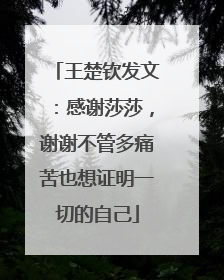王楚钦发文：感谢莎莎，谢谢不管多痛苦也想证明一切的自己