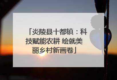 炎陵县十都镇：科技赋能农耕 绘就美丽乡村新画卷