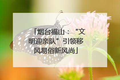烟台福山：“文明迎亲队”引领移风易俗新风尚