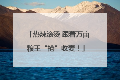 热辣滚烫 跟着万亩粮王“抢”收麦！