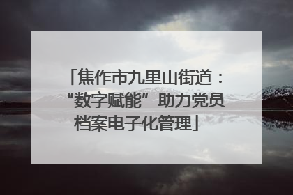 焦作市九里山街道：“数字赋能”助力党员档案电子化管理