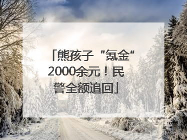 熊孩子“氪金”2000余元！民警全额追回