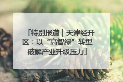特别报道｜天津经开区：以“高智绿”转型破解产业升级压力