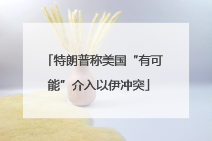 特朗普称美国“有可能”介入以伊冲突
