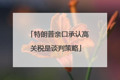 特朗普亲口承认高关税是谈判策略