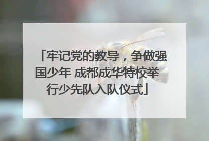 牢记党的教导，争做强国少年 成都成华特校举行少先队入队仪式
