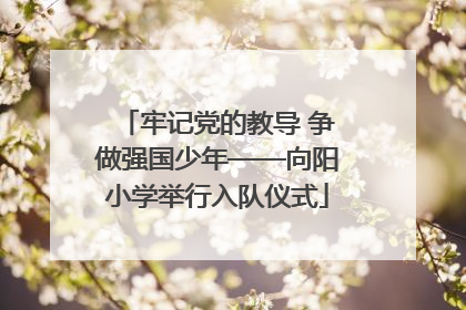 牢记党的教导 争做强国少年——向阳小学举行入队仪式