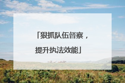 狠抓队伍督察，提升执法效能