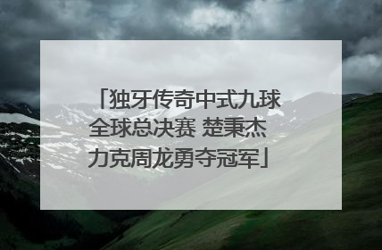 独牙传奇中式九球全球总决赛 楚秉杰力克周龙勇夺冠军