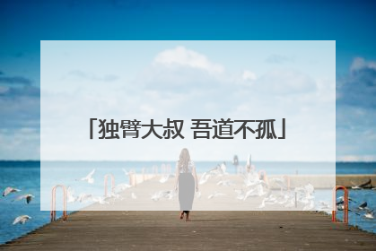 独臂大叔 吾道不孤
