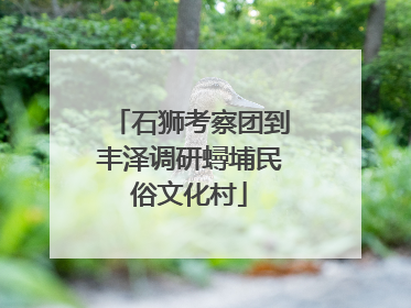 石狮考察团到丰泽调研蟳埔民俗文化村