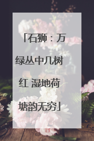 石狮：万绿丛中几树红 湿地荷塘韵无穷