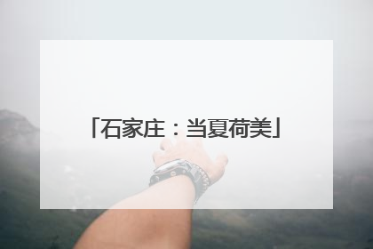 石家庄：当夏荷美
