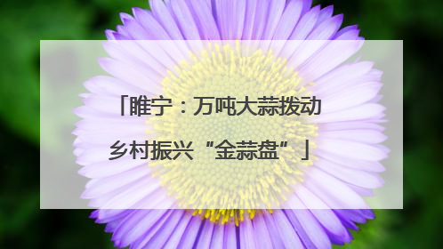 睢宁：万吨大蒜拨动乡村振兴“金蒜盘”