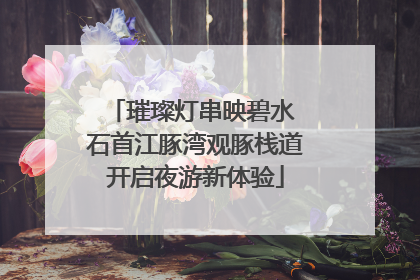 璀璨灯串映碧水 石首江豚湾观豚栈道开启夜游新体验