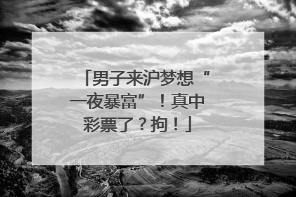 男子来沪梦想“一夜暴富”！真中彩票了？拘！