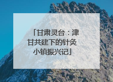 甘肃灵台：津甘共建下的针灸小镇振兴记
