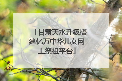 甘肃天水升级搭建亿万中华儿女网上祭祖平台