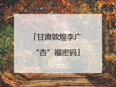 甘肃敦煌李广“杏”福密码
