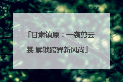 甘肃镇原：一袭剪云裳 解锁跨界新风尚