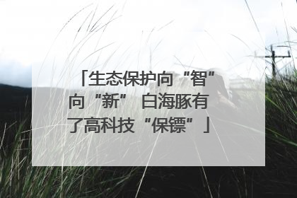 生态保护向“智”向“新” 白海豚有了高科技“保镖”