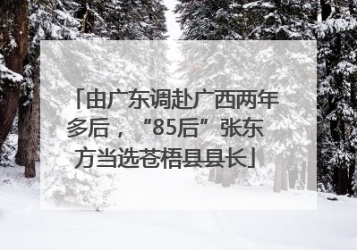 由广东调赴广西两年多后，“85后”张东方当选苍梧县县长