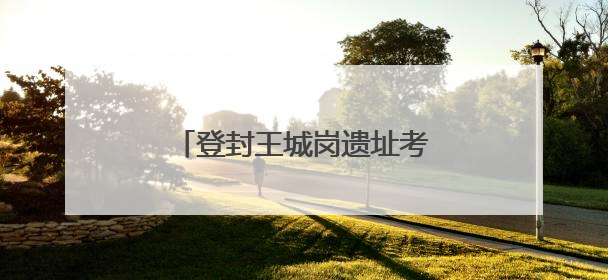 登封王城岗遗址考古发掘最新发现