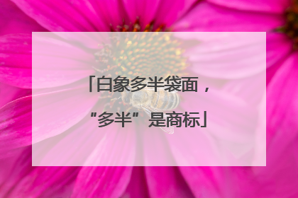 白象多半袋面，“多半”是商标