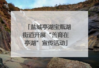 盐城亭湖宝瓶湖街道开展“善育在亭湖”宣传活动
