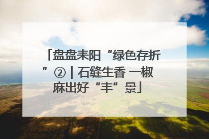 盘盘耒阳“绿色存折”②｜石缝生香 一椒麻出好“丰”景