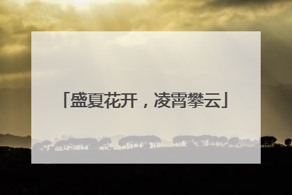 盛夏花开，凌霄攀云