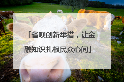 省呗创新举措，让金融知识扎根民众心间
