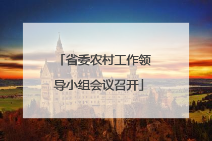 省委农村工作领导小组会议召开