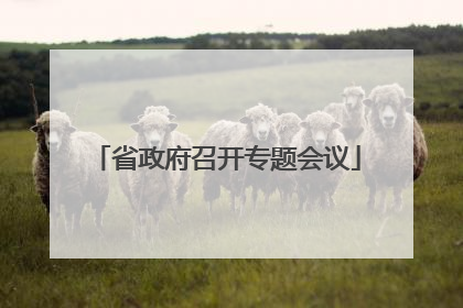 省政府召开专题会议