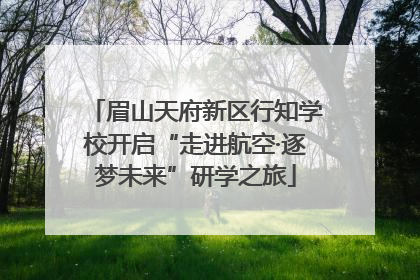 眉山天府新区行知学校开启“走进航空·逐梦未来”研学之旅