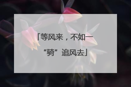 等风来，不如一“骑”追风去