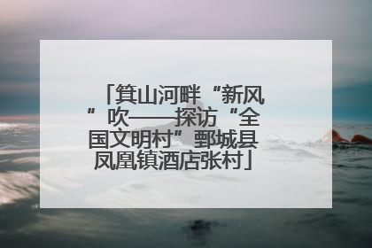 箕山河畔“新风”吹——探访“全国文明村”鄄城县凤凰镇酒店张村