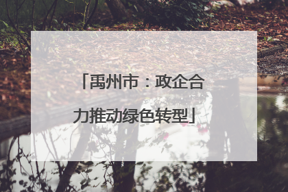 禹州市：政企合力推动绿色转型