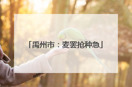 禹州市：麦罢抢种急