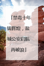 禁毒十年铸辉煌，盐城公安启航再破浪