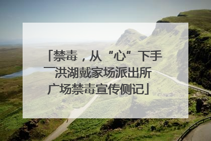 禁毒，从“心”下手――洪湖戴家场派出所广场禁毒宣传侧记