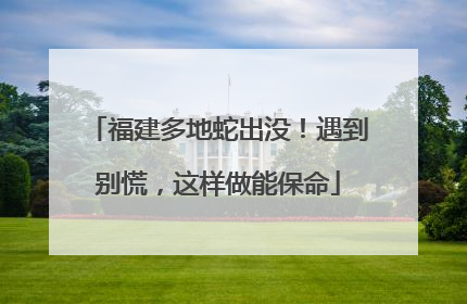 福建多地蛇出没！遇到别慌，这样做能保命