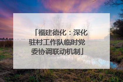 福建德化：深化驻村工作队临时党委协调联动机制